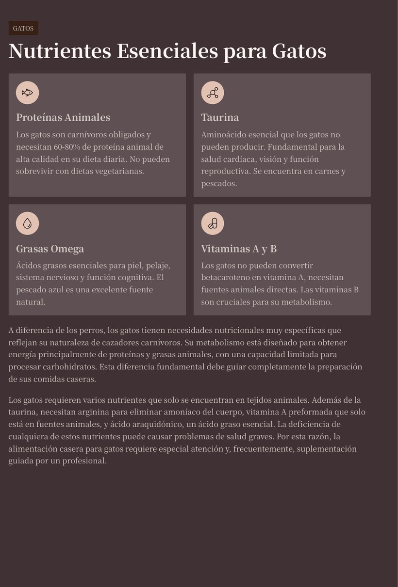 Nutrientes essenciais para gatos